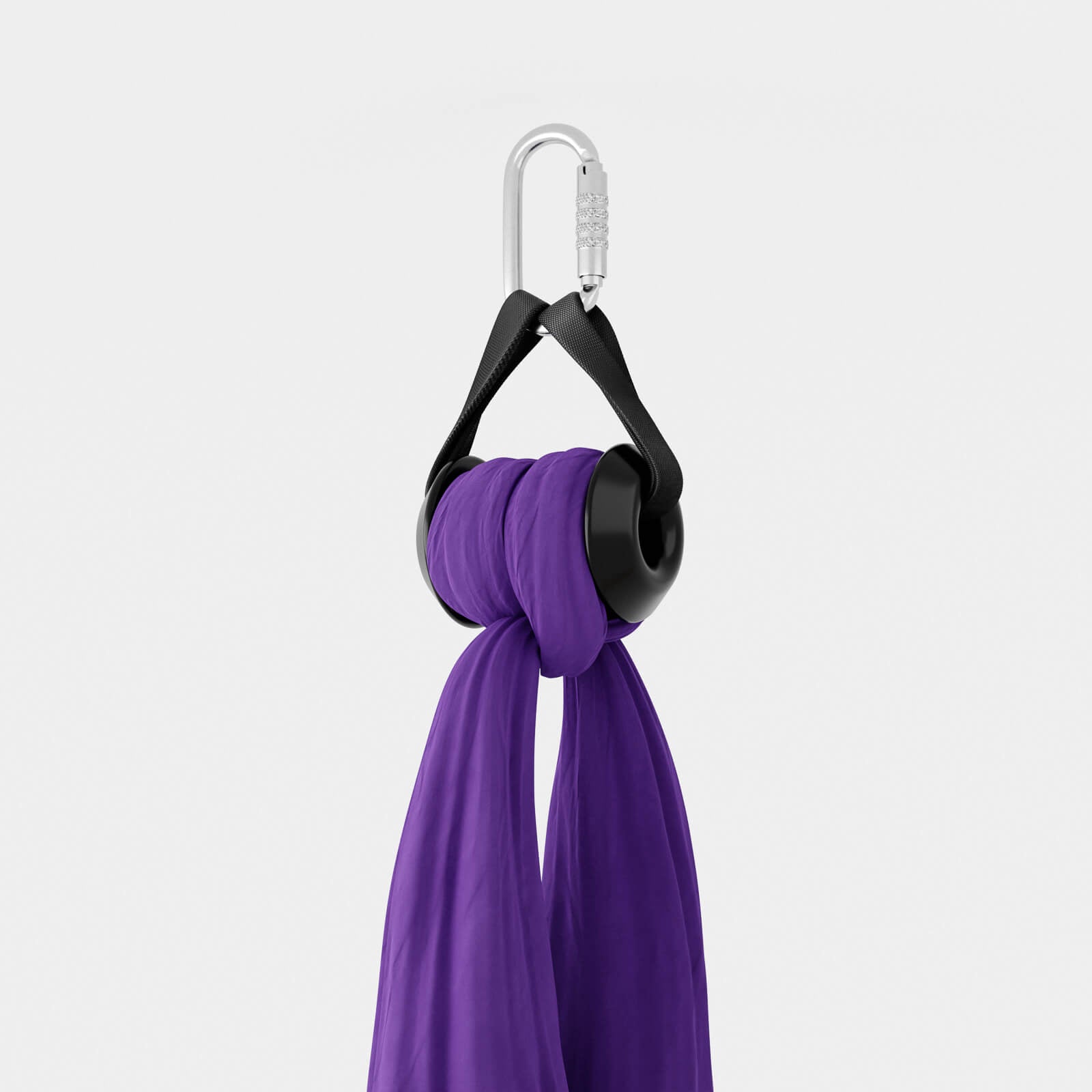 Viola