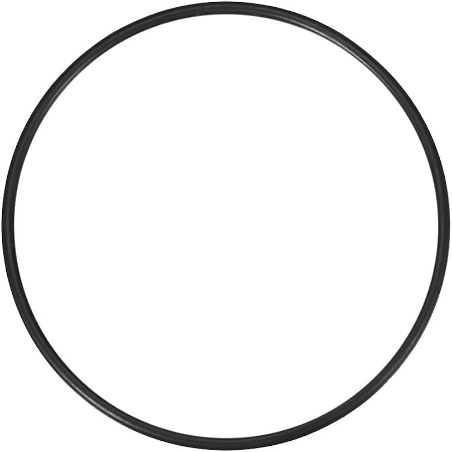 O-RING for PLAY Rola Bola roller - SET OF 2
