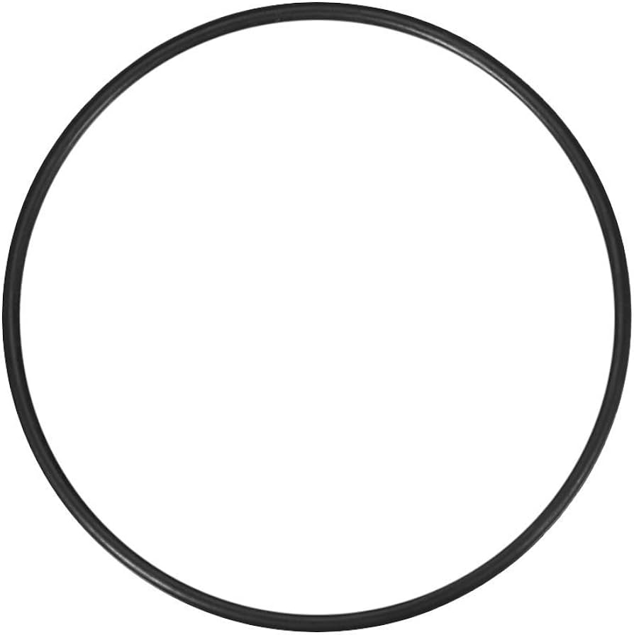 O-RING for PLAY Rola Bola roller - SET OF 2